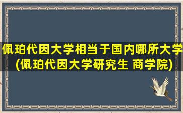 佩珀代因大学相当于国内哪所大学(佩珀代因大学研究生 商学院)